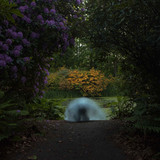 Jane Fitz Photo