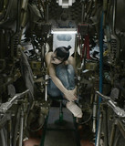 artist image