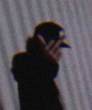 Ty Wild profile