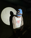 artist image