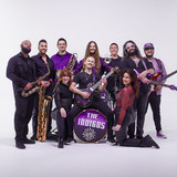 The Indigos