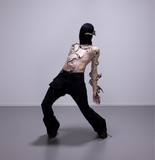artist image