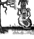 Wes Aldrich profile