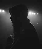 artist image