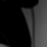Silva profile