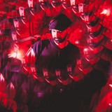 artist image