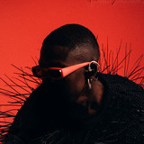 artist image