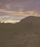 artist image