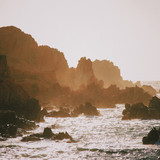 artist image