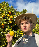 artist image