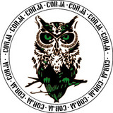 artist image