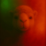 artist image