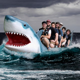 Jump the Shark!