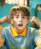 artist image