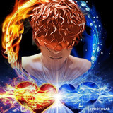 XSLIMEX profile