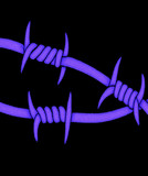 artist image