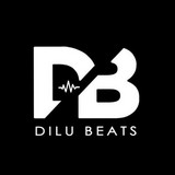 DILU Beats profile