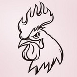 Gallitoxx profile