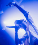 artist image
