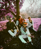 The Deniros