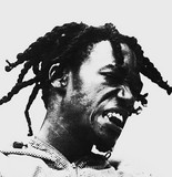 Rastavelliskank profile