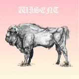 WISENT