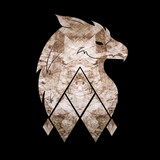 artist image