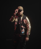 artist image