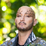 artist image