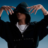 artist image