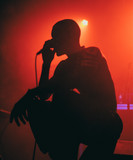 artist image