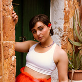 artist image