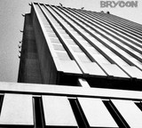 Brycon profile