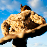 The Fur profile
