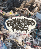 Fermented Mess