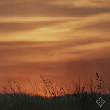 artist image