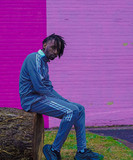 artist image