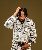 artist image