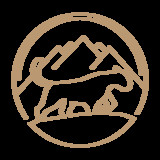 artist image