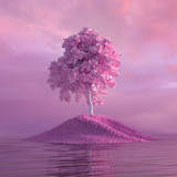 artist image