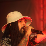 artist image