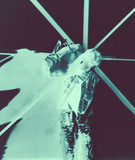 artist image