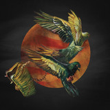 Protest The Hero photo 3