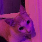 Babyyy profile