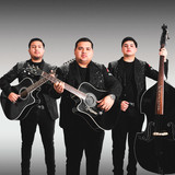 artist image