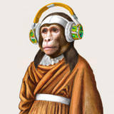 artist image