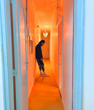 artist image
