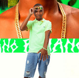 artist image