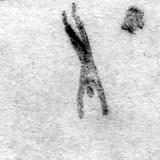 artist image