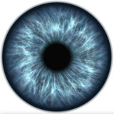 Iris Edge profile